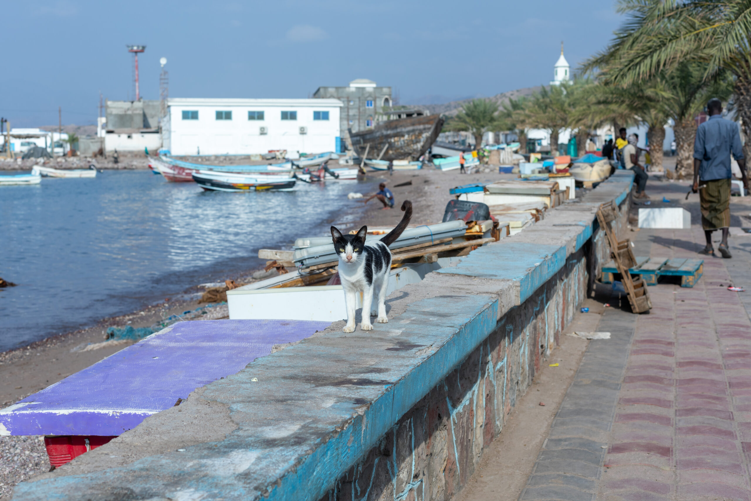 Tales of the Djibouti By Camille Massida